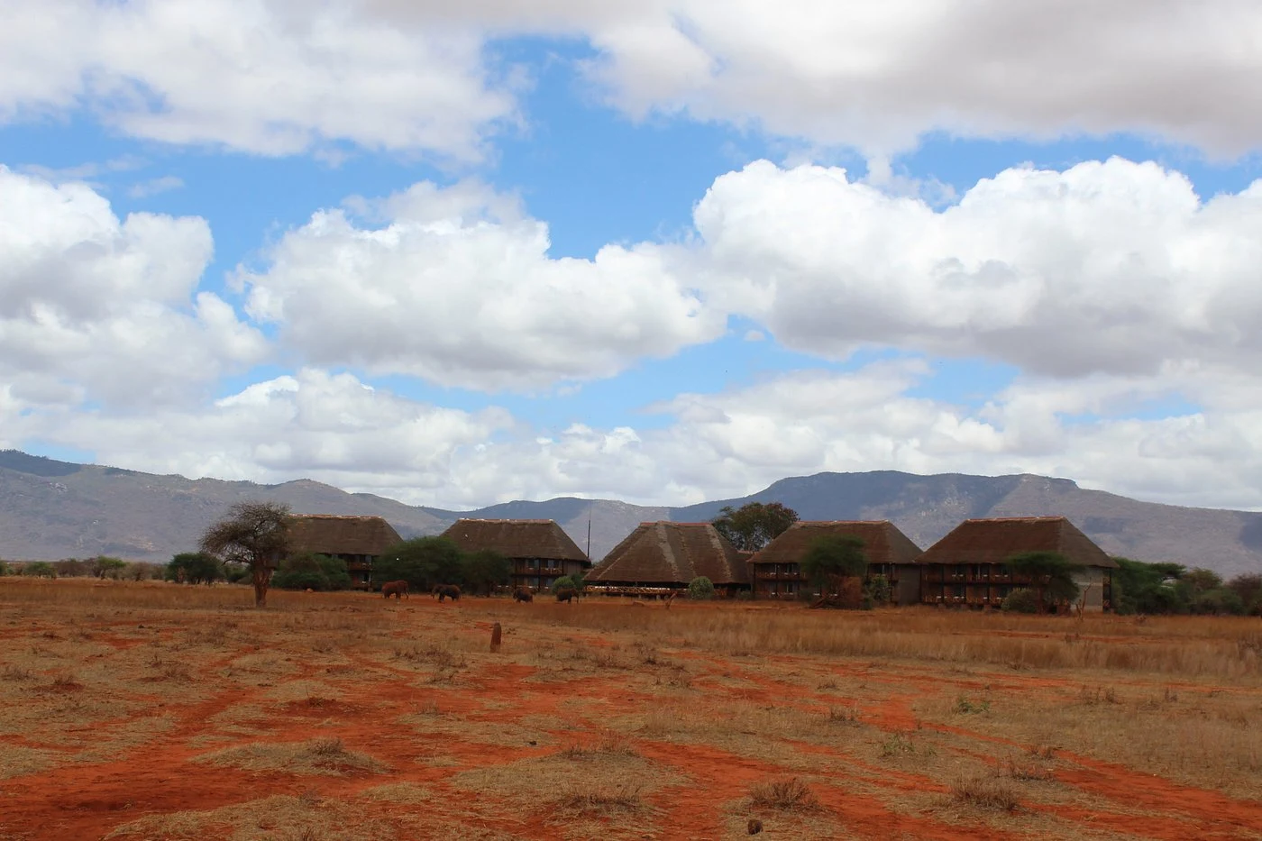 Ngutuni Safari Lodge